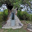 Greek villager builds chapel of St. Paisios inside oak tree