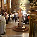 Saint Despot Stephen celebrated in the capital