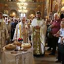 Saint Despot Stephen celebrated in the capital