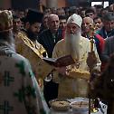 Слава парохије Светог Луке у Вићенци