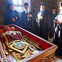 Храбри носиоци венца исповедништва православне вере