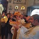 Освећени крстови за храм Светог Нектарија у Јагодњаку