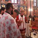 Прослава Светог Димитрија у Саборном храму у Карловцу