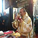 Митровдан свечано прослављен у Прибоју