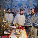  Прослава Ваведења Богородичиног у манастиру Пустиња
