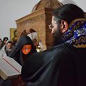 Монашење у манастиру Вета, Епархија нишка