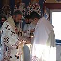 Ваведење у Далматинској Лазарици