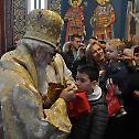 Свети Василије Велики прослављен у Маршићу