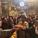 Свети Сава свечано прослављен у Линцу