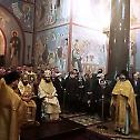 Metropolitan Hilarion of Volokolamsk celebrates Divine Liturgy at Cathedral of St. Nicholas in Vienna
