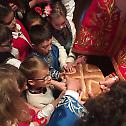 St. Stevan of Decani in Columbus celebrates St. Sava - In Pictures 