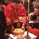 St. Stevan of Decani in Columbus celebrates St. Sava - In Pictures 