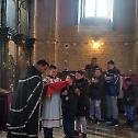 Радост литургијског сабрања у Петровчићу