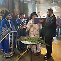 Прослава Лазареве суботе - Врбице у Епархији врањској
