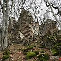Ruins of previously unknown monastery accidentally found in Georgian forest