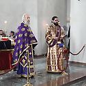 Празник светих мученика севастијских у Бошњану