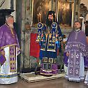 Сабрања свештенства у Бољевцу и Књажевцу