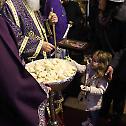 Patriarch Irinej serves in Bezanijska Kosa