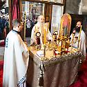Посета епископа Теодосија парохији у Луцерну