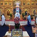 Благослов Пресвете Богородице у храму Светог Саве у Парми
