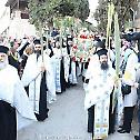  The Palm Tree Branches Procession From Bet-faghe