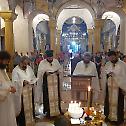 Свети Лука Кримски прослављен у Саборном храму у Бару