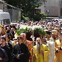 Greek and Russian hierarchs and faithful come together to celebrate St. Luke of Simferopol