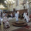 Saint Vitus Day celebrated in Novi Sad
