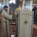 Saint Vitus Day celebrated in Novi Sad