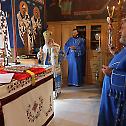 Патријарашка Литургија у цркви Свете Петке на Чукарици
