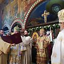 His Grace Bishop Grigorije of Frankfurt and All Germany enthroned
