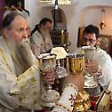 Православни дечји сабор у Цетињском манастиру