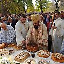 Прослава мати Параскеве на Доброј води у Вуковару