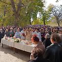 Прослава мати Параскеве на Доброј води у Вуковару