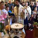 St. Archangel Michael Parish Celebrates Patron Saint-day