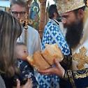 Прослава Светог краља Стефана Дечанског у Мајданпеку