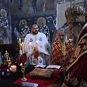  Прослава Светог краља Милутина у Епархији врањској