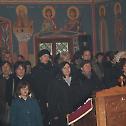 Прослава Светог Саве у Шибенику