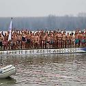 Epiphany procession and swimming for the Holy Cross in Zemun