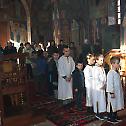 Прослава Светог Саве у манастиру Дужи