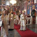 Прослава Светог Саве, првог Архиепископа српског, у Карловцу