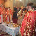 Saint Sava Day in the Monastery of Milesheva