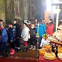 Прослава Светог Саве у Опарићу