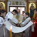 Празник Света Три Јерарха у манастиру Мрзеници