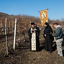 Виноградарска слава у манастиру Букову