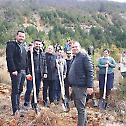 Православни студенти пошумљавају Гјинар у Албанији