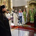 Патријарх српски Иринеј богослужио у Сентандреји