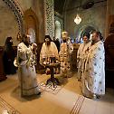 Прослава Светих Врача у манастиру Буково