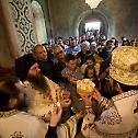 Прослава Светих Врача у манастиру Буково