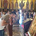 Стотине верних дочекало Богородичину икону у Подгорици 